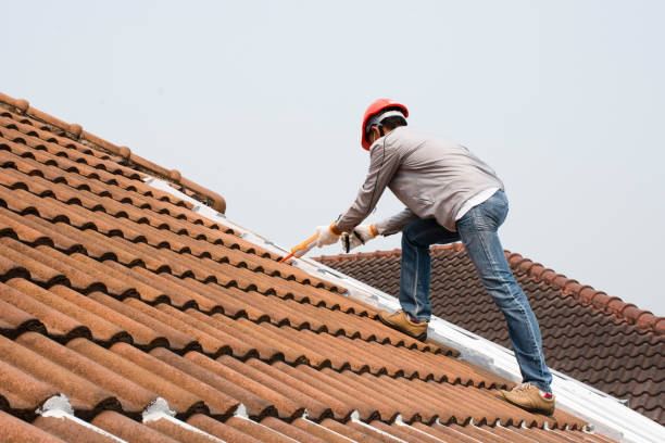 Best Rubber Roofing (EPDM, TPO)  in Roscommon, MI