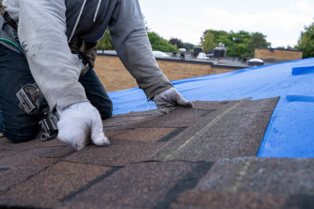 Best Emergency Roof Repair  in Roscommon, MI