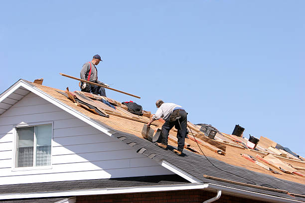 Best Skylight Installation and Repair  in Roscommon, MI