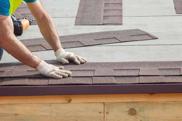 Best Roof Maintenance and Cleaning  in Roscommon, MI