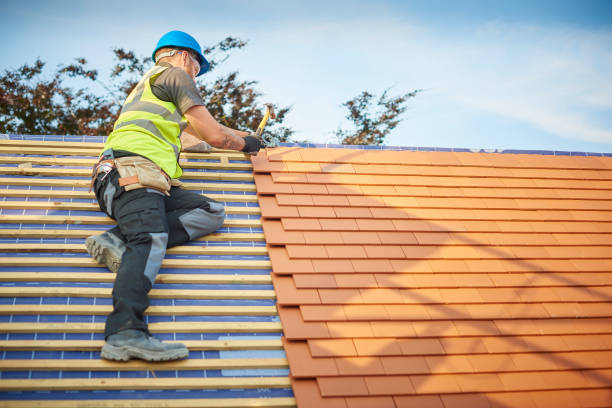 Best Cold Roofs  in Roscommon, MI